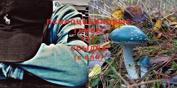 ALPHA PVP Волосово