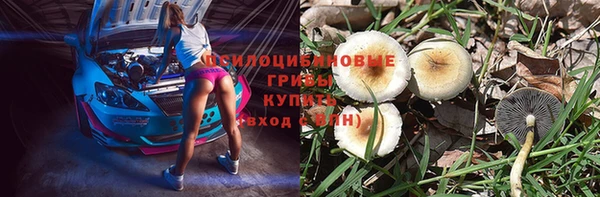 альфа пвп Вяземский