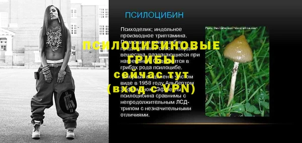 тгк Володарск