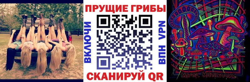 Галлюциногенные грибы MAGIC MUSHROOMS Купить Тырныауз